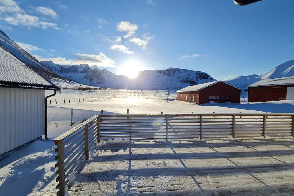 Arctic Lodge Tromvik With Jacuzzi Tromsø Extérieur photo